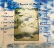 画像3: 【Sacred Chants of Buddha】Craig Pruess/ヨガ・瞑想・ヒーリング・チベット仏教 (3)