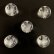画像1: 天然石彫り水晶 いぬ（戌） 12mm玉  5粒セット (1)