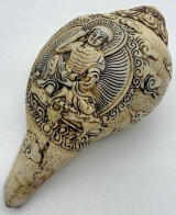 法螺貝（シャンカ） - TashiTage【タシタゲ】