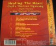 画像2: Healing the Heart  Sina Vodjani/瞑想・ヒーリング・マントラ・チベット仏教 (2)