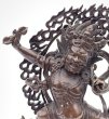 画像5: ◆ヴァジュラ・パーニ（金剛手）像◆仏教　チベット-AAA (5)