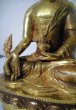 画像3: 薬師如来（メディスンブッダ）像◆仏教　チベット (3)