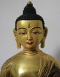画像2: 仏陀/釈迦牟尼仏像◆仏教　チベット　ネパール 2 (2)